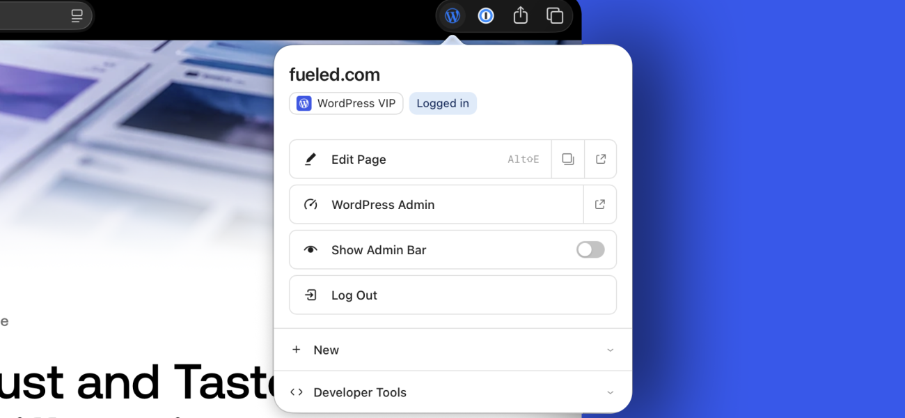 Decorative screenshot of the new WordPress Browser Extension