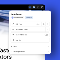 Decorative screenshot of the new WordPress Browser Extension