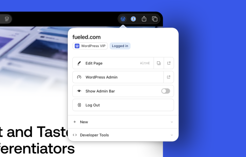 Decorative screenshot of the new WordPress Browser Extension